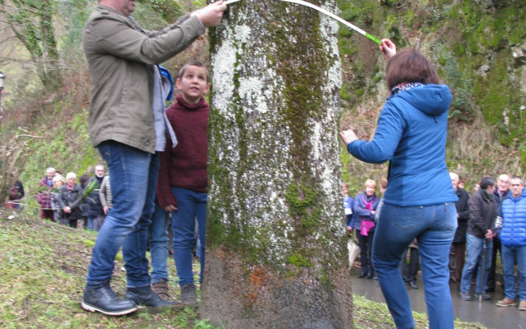 Toque de campanas a mano y cinta métrica en Eleizondo (Zeanuri)