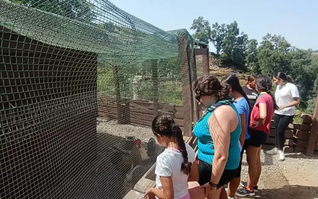 Campo de Trabajo en Ceuta