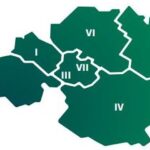 vicarias
