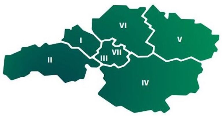 vicarias