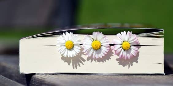 Sugerencias de lecturas veraniegas