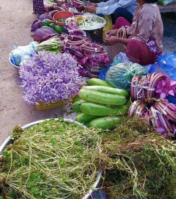 “Un 15% de la población en Camboya es pobre»