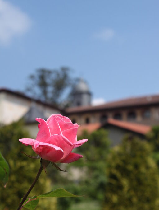 Curiosidades sobre los monasterios de las clarisas de la diócesis de Bilbao