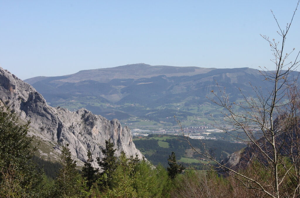 Ante la COP30: la Diócesis insta a los gobiernos a priorizar la dignidad humana y el bien común