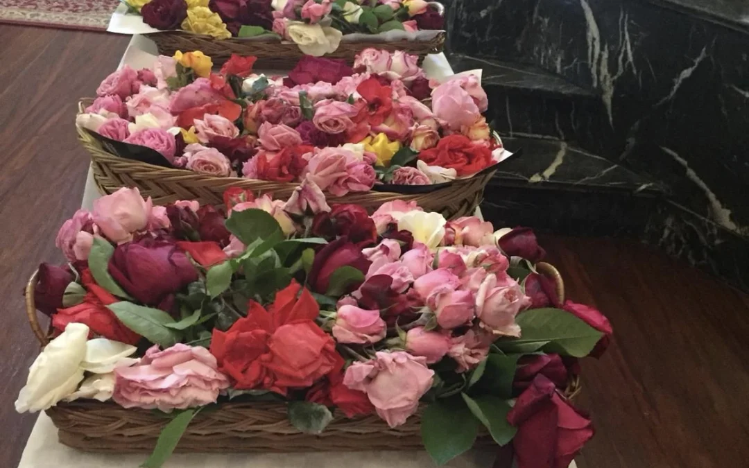 ¿Sabías que las monjas de Santa Mónica de Bilbao repartirán hoy rosas bendecidas?