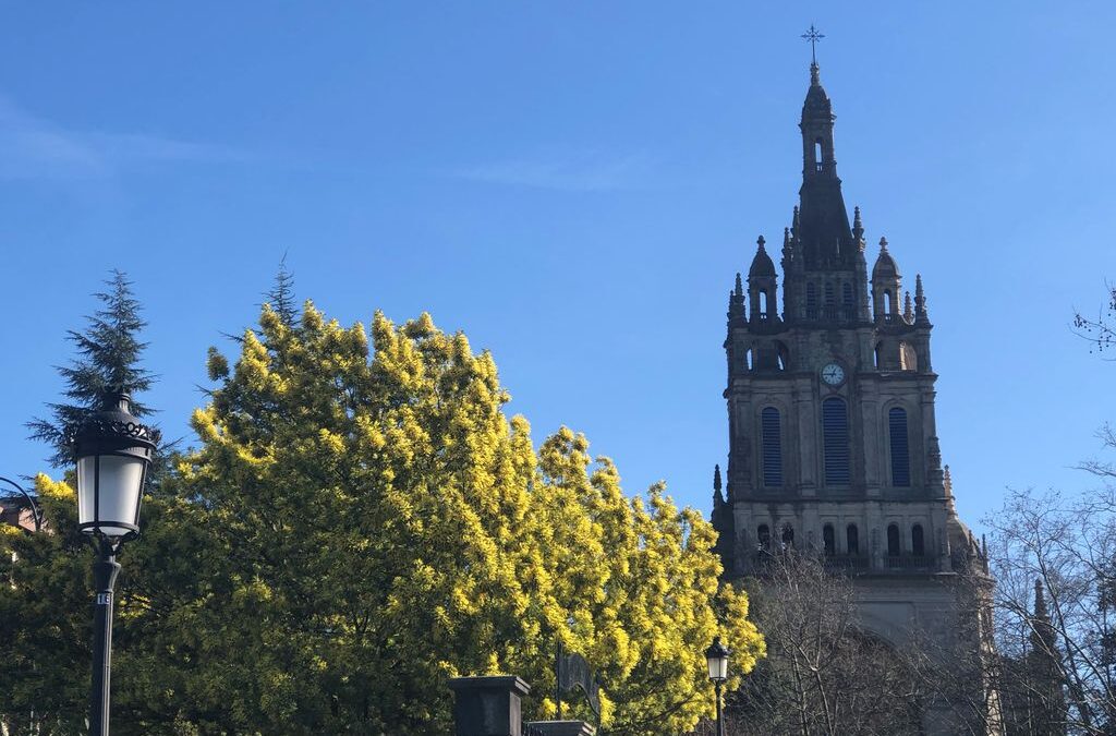 Eukaristia zuzenean Begoñako basilikatik