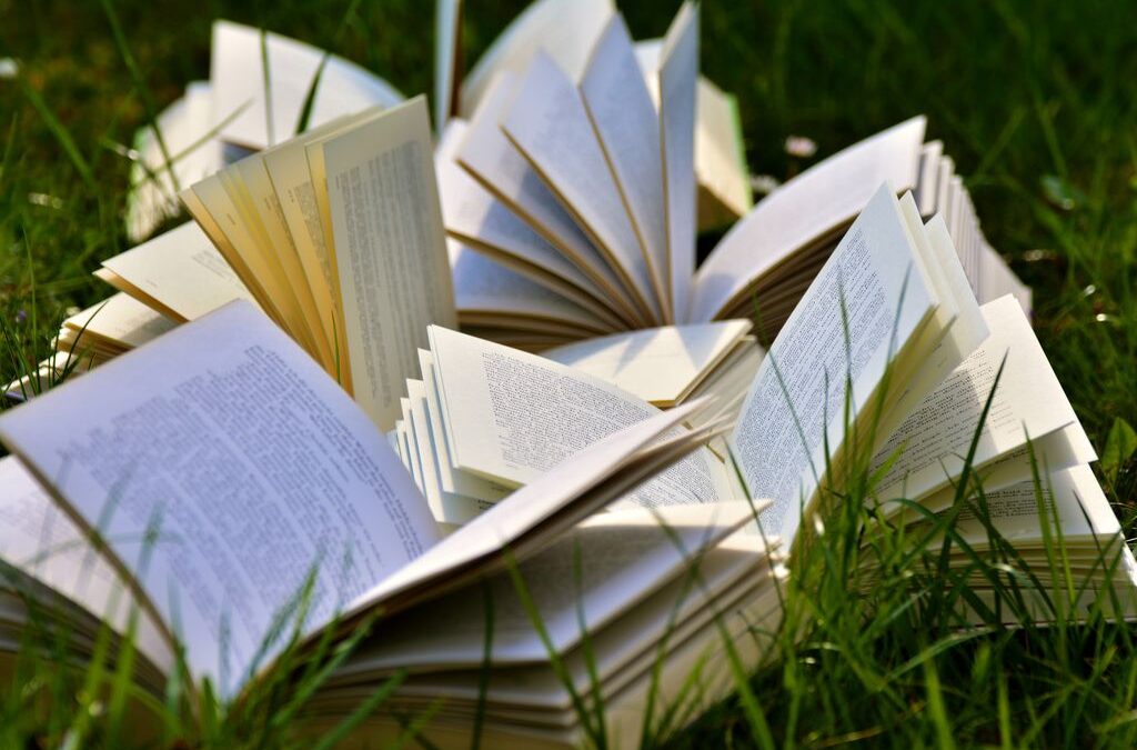 Sugerencias de lectura para el verano del Instituto Diocesano de Teología y Pastoral