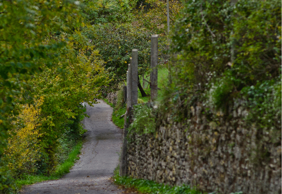 ¿Conoces las rutas del Camino de Santiago por Bizkaia?