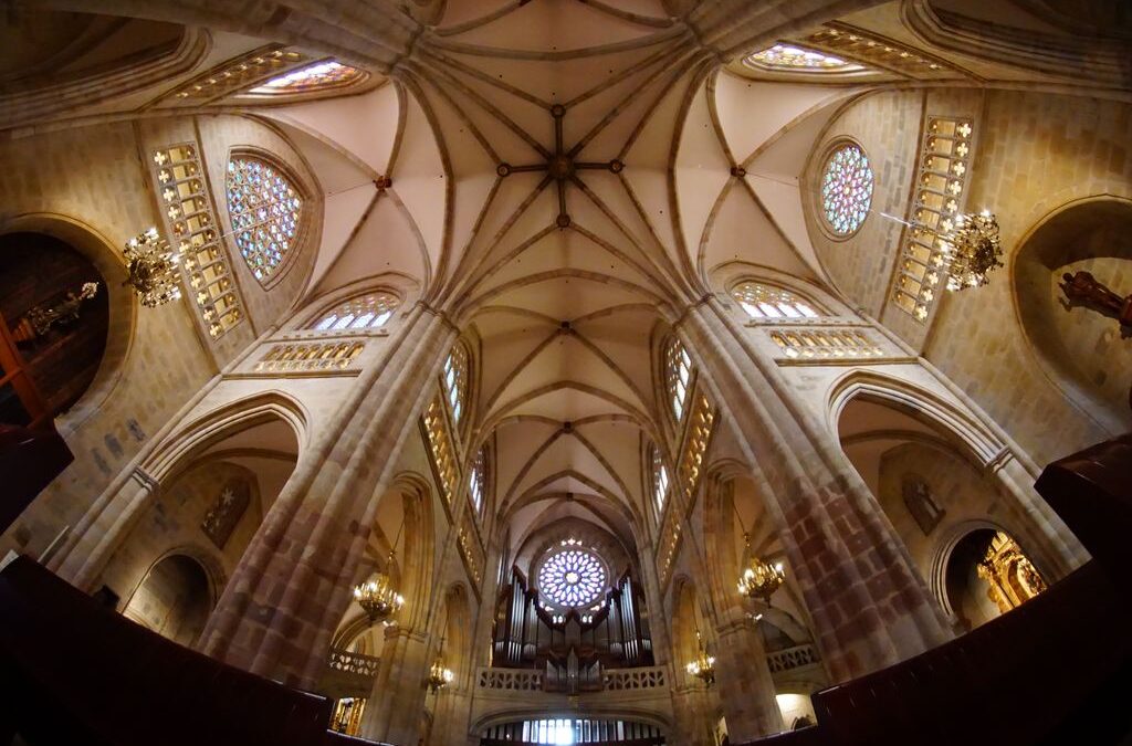 ¿Quieres seguir en directo la misa que preside el obispo en la catedral de Santiago?