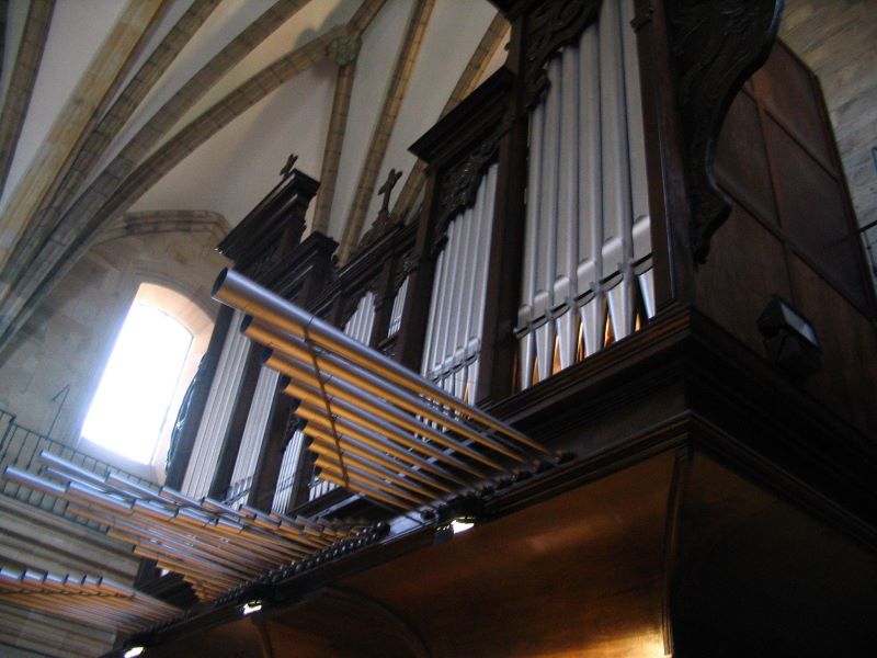 Durangoko basilikako organoa
